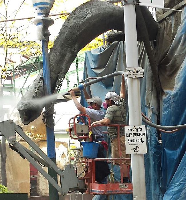 Shotcrete Zoo Jobsite Photos